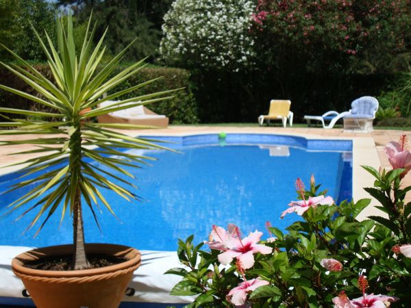 Cost of Pool Terrace Renovation in Santa Clarita