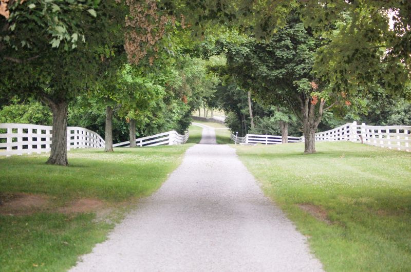 Stone Walkway Installation